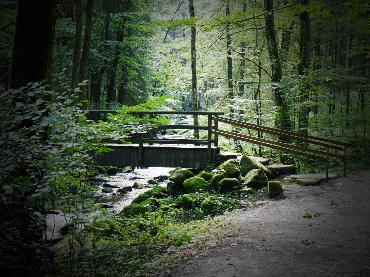 Fewo Kedo Neukirchen vorm Wald Exterior foto